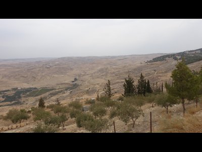 DSC02393 - Kopie.JPG